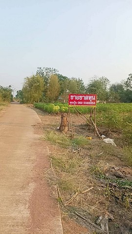 ขายที่ดินตำบลกลอนโดอำเภอด่านมะขามเตี้ย ที่ดินติดทางสาธารณะ ที่ดินวิวภูเขา