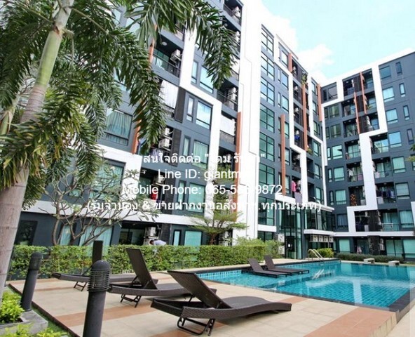 ID :  DSL-347 ขายด่วน ๆ CONDO ลิปป์ รามคำแหง 43/1 LIB Ramkhamhaeng 43/1 ไม่ไกลจาก รามคำแหง 43/1 1490000 THB 1Bedroom 27 ตร.-ม. SECRET DEAL