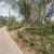 นักลงทุนห้ามพลาด: ที่ดิน 8 ไร่ 1 งาน 88 ตร.วา | บ้านเหล่า ราคาโดนใจ