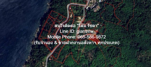 พื้นที่ดิน ที่ดิน ใกล้หาดกมลา อ.กะทู้ จ.ภูเก็ต 2 RAI 0 NGAN 0 ตาราง-วา  34000000 THB ใกล้ หาดกมลา 4 กม. สภาพแวดล้อมดี ภูเก็ต   