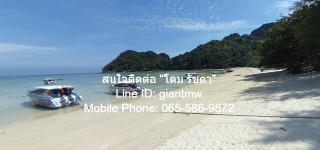 พื้นที่ดิน ที่ดินเกาะพีพี จ.กระบี่ ขนาด 168 ตาราง-วา  ไม่ไกลจาก  Loh Lana Bay (500 ม.) ราคา - ดี กระบี่