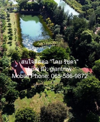 บ้าน บ้านสวนสไตล์รีสอร์ต ริมคลอง จ.ฉะเชิงเทรา  5 RAI 2 ngan 20 ตร.ว. 4 Bedroom 4 BR ไม่ไกลจาก วัด และโรงเรียนบ้านน้ำฉ่า, โรงพยาบาลราชสาส์น และวัดปากน้ำโจ้โล้ ฉะเชิงเทรา (วัดริมแม่น้ำบางประกง) สภาพแวดล้อม-ดี บ้านสวนสวย สภาพดี (พัฒนาต่อได้เลย) ทำเลดี ใ