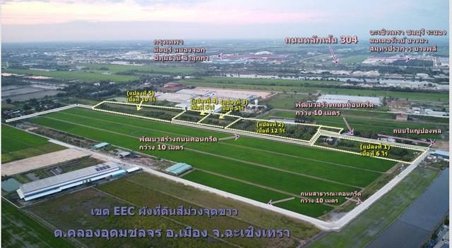 ขายที่ดิน 40 ไร่ เขต EEC ถมที่ดินให้ฟรี เสมอถนนคลองอุดมชลจร เมืองฉะเชิงเทรา เหมาะสร้างโรงงานทุกประเภท