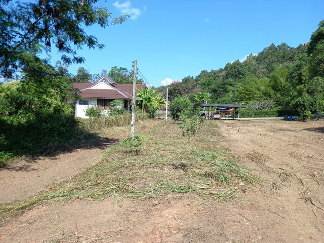 DSL-103 ต้องการขาย พื้นที่ดิน ที่ดิน เทศบาลตำบลแม่แตง เชียงใหม่ พท. 0 ตารางวา 3 NGAN 0 Rai 1560000 - ใกล้กับ สนง.เทศบาลตำบลแม่แตง 1.5 กม. ทำเล-ดี