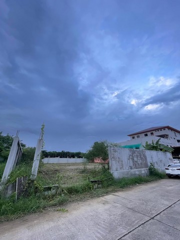 ขายที่ดินแปลงสวย พุทธมณฑลสาย2 ทวีวัฒนา-กาญจนาภิเษก ขนาด 140 ตรว