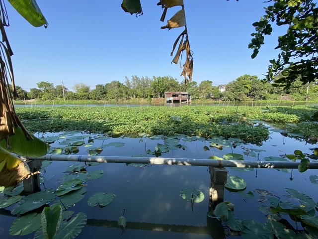 ขายที่ดิน 399.7 ตร.ว.ย่านนครปฐมศาลายาพุทธมณฑลใกล้ร.ร.พระตำหนักสวนกุหลาบ ตลาดกิเลน