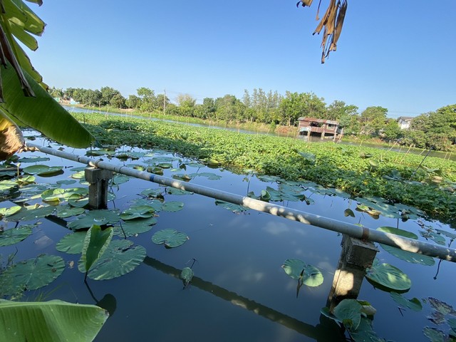 ขายที่ดินติดถนน4เลนด้านหลังติดคลองนราภิรมย์399.7 ตร.ว.ย่านนครปฐมศาลายาพุทธมณฑล