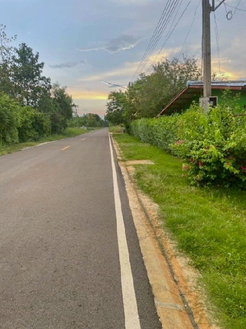ขาย ที่ดิน หนองเสือ คลอง14 251ตร.วา. รีบใช้เงิน วัดประสิทธิเวช 4.2 กม.ติดถนนสาธารณะ ลาดยางแล้ว ตลาดธนกิจ หนองเสือ 5กม. ปทุมธานี