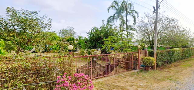 ขาย ที่ดิน หนองเสือ 250 ตร.วา. รีบใช้เงิน วัดประสิทธิเวช 4.2  กม.ติดถนนสาธารณะ ลาดยางแล้ว ถ.รังสิต-นครนายก คลอง 14-15  ปทุมธานี