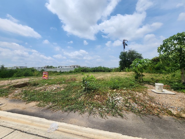 ขายที่ดิน 5 ไร่ บางบอน 5 เพขรเกษม 81 ใกล้ มบ.ตะวันฉาย ที่ดินสวยเป็นสี่เหลี่ยมผืนผ้าสวย