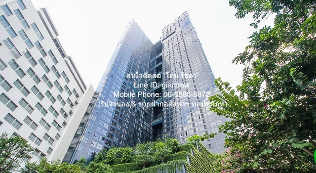 ห้องชุด แอชตัน จุฬา-สีลม ashton chula - silom 1Bedroom 22000 บาท   BIG SALE!!