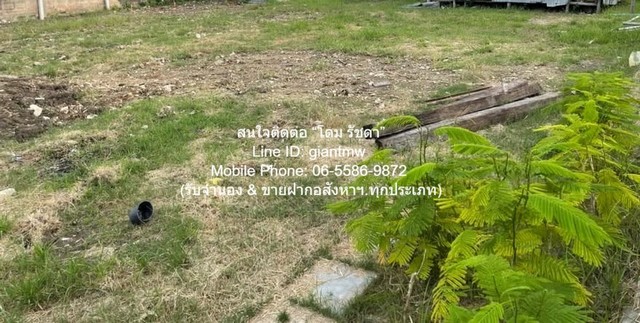 DSL-924.2 Sale พื้นที่ดิน ขายที่ดินเปล่าถมแล้ว และมีรั้วแล้ว (ใกล้ตลาดเวิลด์มาร์เก็ต) 100 ตร.ว. ราคา 3 ล้านบาท     3000000 บาท  0 ไร่ 1 Ngan 0 ตร.วา ทำเลศักยภาพ