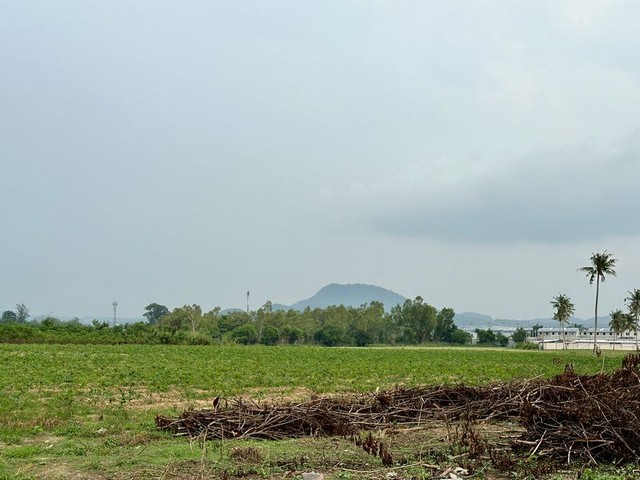 ขายที่ดินเปล่า หนองขาม ศรีราชา (ผังสีส้มจุด) ติดถนนสาธารณะ TP-L1228