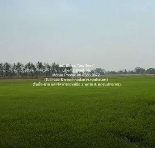 //ต่ำกว่าราคาประเมิน//ขายที่ดินทุ่งนาข้าว อ.นครหลวง จ.พระนครศรีอยุธยา 17-0-76 ไร่ ราคา 3 ล้านบาท