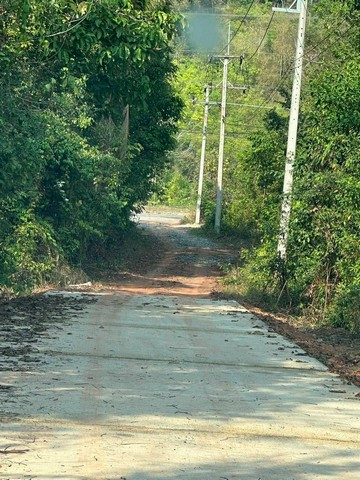 ขายที่ใกล้ทะเลติดคลองสนห่างจากทะเล100เมตร ต.แหลมกลัด จ.ตราด