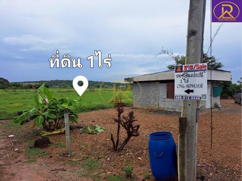 ขายที่ดินเพียงหลักแสน แปลงสวย 1 ไร่ ใกล้ถนนพหลโยธิน ทางเข้าซอยติดโชว์รูมนิสสัน-เนต้า สระบุรี ต.ปากข้าวสาร อ.เมืองสระบุรี จ.สระบุรี