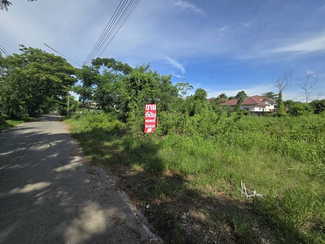 ขายที่ดินถมแล้ว 208.4 ตร.ว คลองสาม (ใกล้วัดธรรมกาย) กว้าง 26 ม. ลึก 30 ม. เหมาะสร้างบ้าน