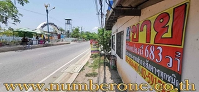 พื้นที่ดิน - 83 Square Wah 2 ngan 1 ไร่    ถูก