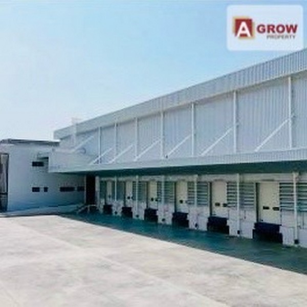 โรงงานให้เช่า พื้นที่สีม่วง สมุทรปราการ (เสร็จพร้อมใช้ 1 Nov2025)