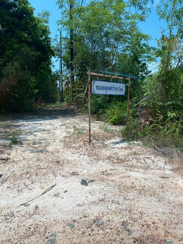 ขายที่ตราด ที่เปล่าแหลมกลัด ที่ใกล้ทะเลติดคลองสนห่างจากทะเล100เมตร ต.แหลมกลัด อ.เมืองตราด จ.ตราด