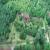 Thai house Chiang Mai property for sale in Chiang Mai 21 rai two-story Thai wooden house