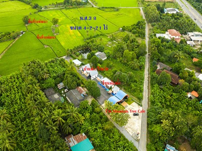 ที่ดินพร้อมคาเฟ่และบ้านพัก 4-2-21 ไร่ วิวภูเขา–ทุ่งนา ใจกลางแก่งเสี้ยน เมืองกาญจนบุรี โอกาสสร้างรายได้หลักแสน–หลักล้านต่อเดือนเหมาะพัฒนาเป็นรีสอร์ต โฮมสเตย์ คาเฟ่วิวเขา หรือจุดเช็กอินท่องเที่ยวสไตล์ธรรมชาติไม่ต้องไปไกลถึงภาคเหนือ ก็ได้วิวเขาแท้–ทุ่งนาแท้ในเมืองกาญจน์ ศักยภาพต่อยอดเป็น “แหล่งท่องเที่ยวระดับจังหวัด” ได้จริง.โอกาสเดียวที่รวม “ทำเลธ�