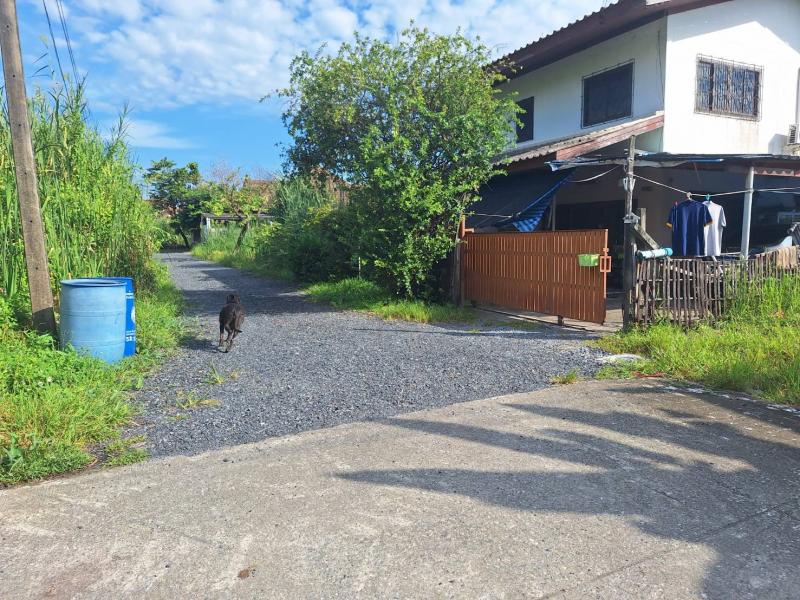 ขายที่ดิน 62 ตรว. ติดถนนใกล้หมู่บ้านโดมทอง อ.เมืองปทุมธานี จ.ปทุมธานี